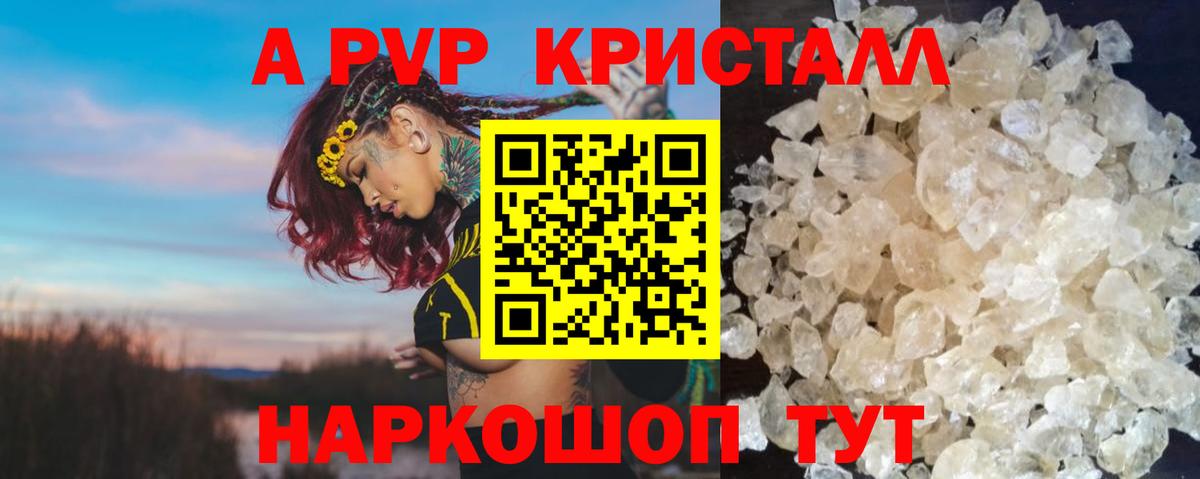 A PVP СК КРИС Ишим
