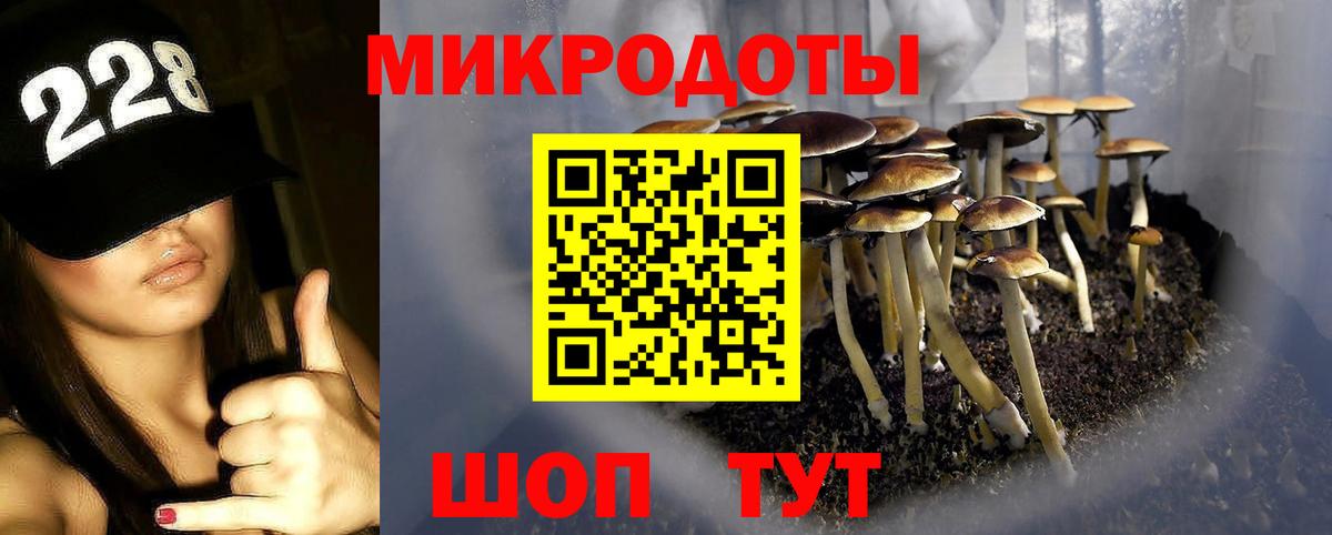 Псилоцибиновые грибы Magic Shrooms  Вход с VPN  Ишим 